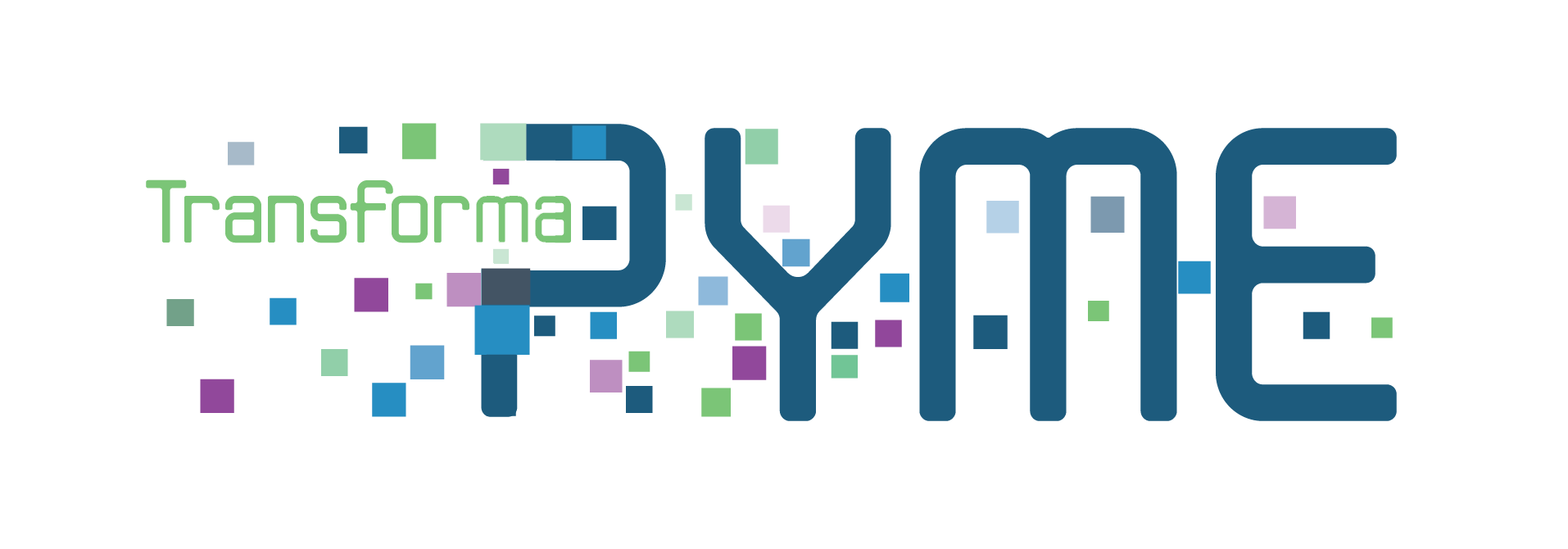Transformapyme